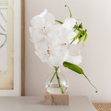 Afbeelding in Gallery-weergave laden, Wierookkegeltjes 5x