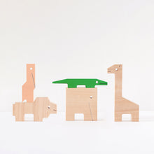 Afbeelding in Gallery-weergave laden, Houten speelgoed set 5 colour