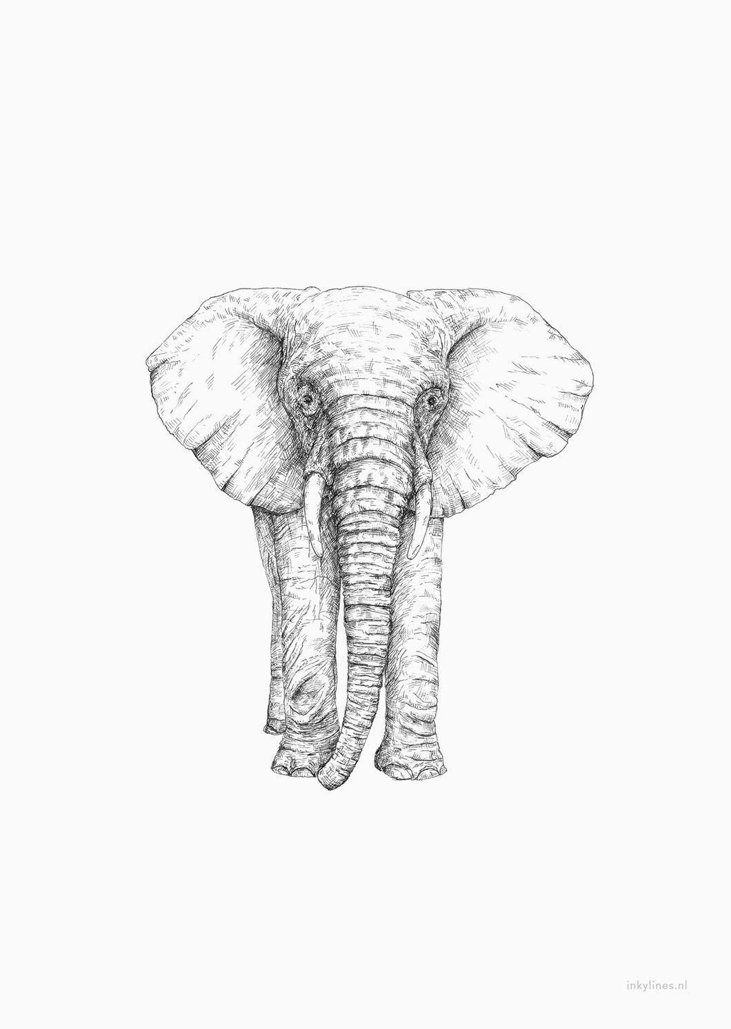 Poster A4 Olifant